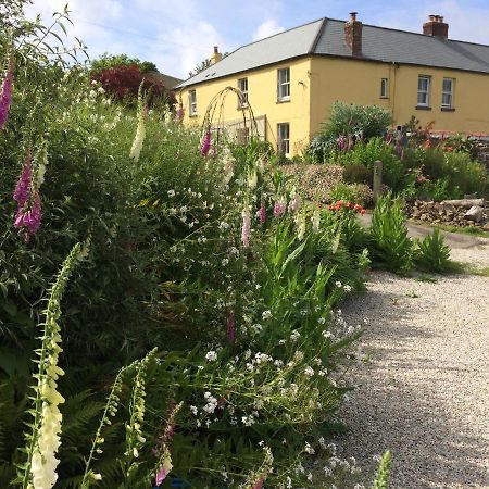 Frizenham Farmhouse Little Torrington Exterior foto
