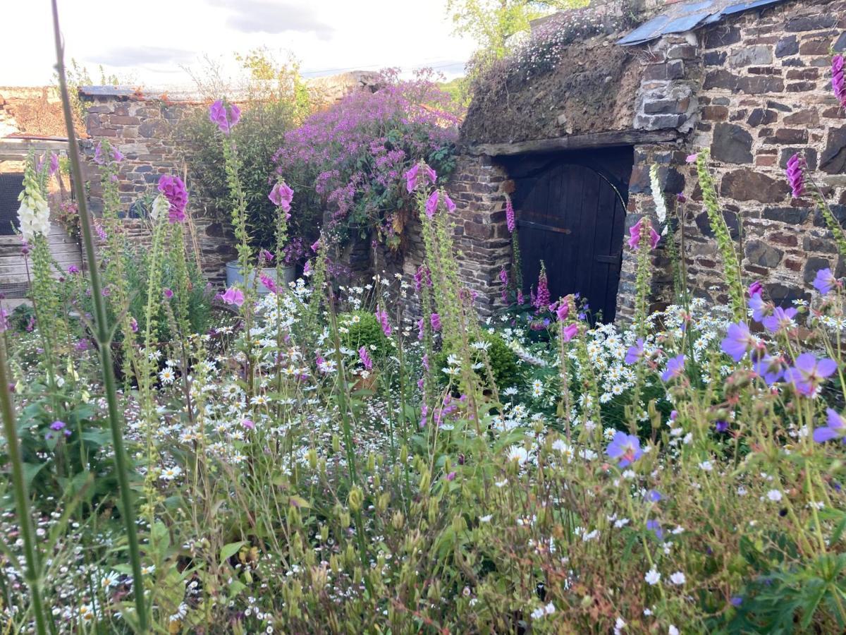 Frizenham Farmhouse Little Torrington Exterior foto